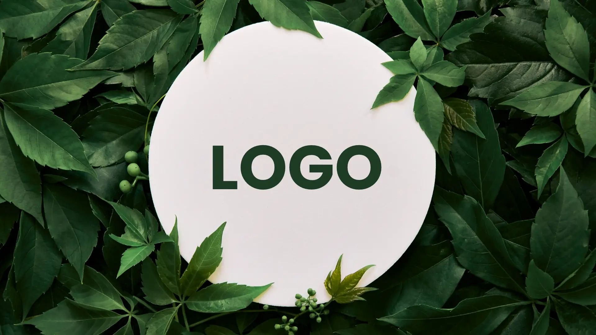 Inspiracje z natury w projektowaniu logotypów: Jak czerpiemy z otoczenia